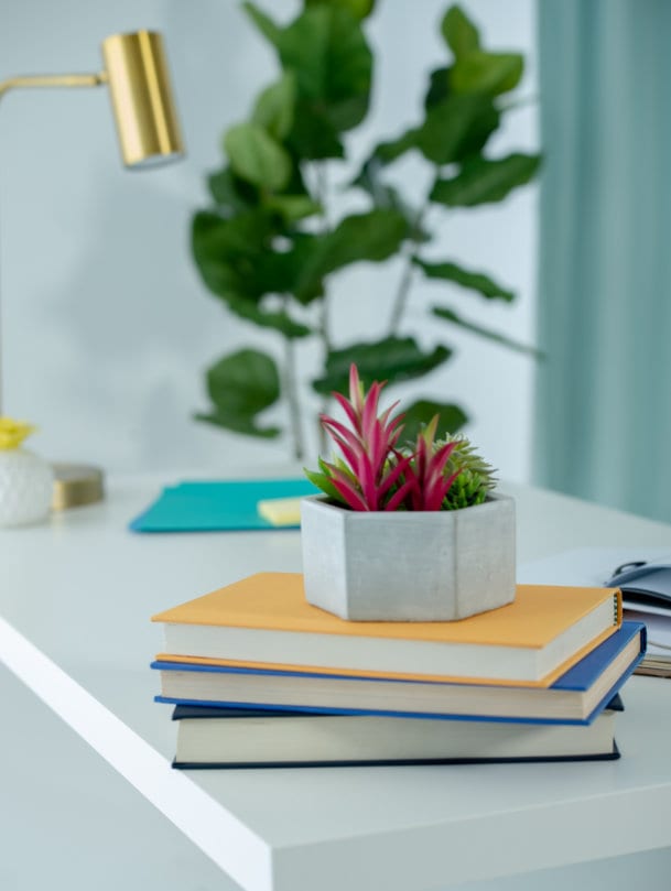 Succulent on Desk